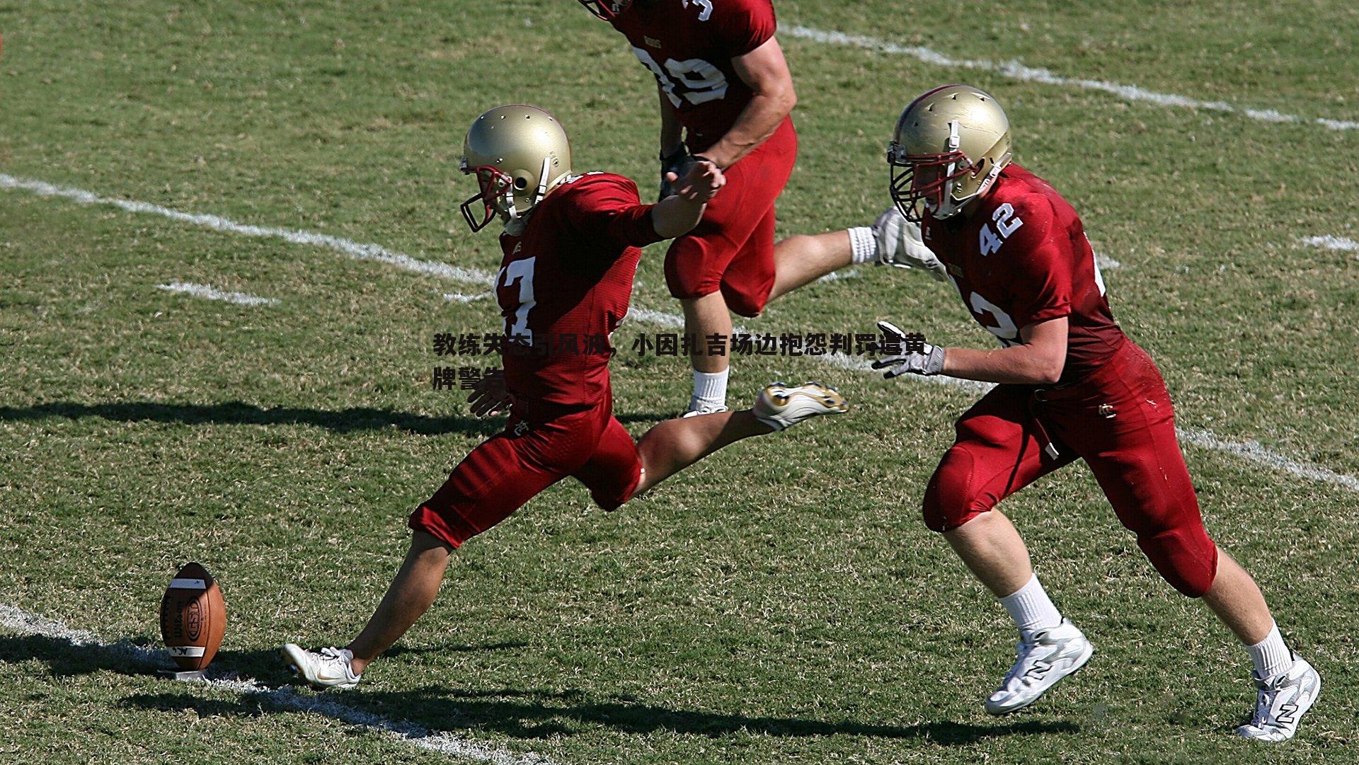 雷速体育-教练失态引风波，小因扎吉场边抱怨判罚遭黄牌警告