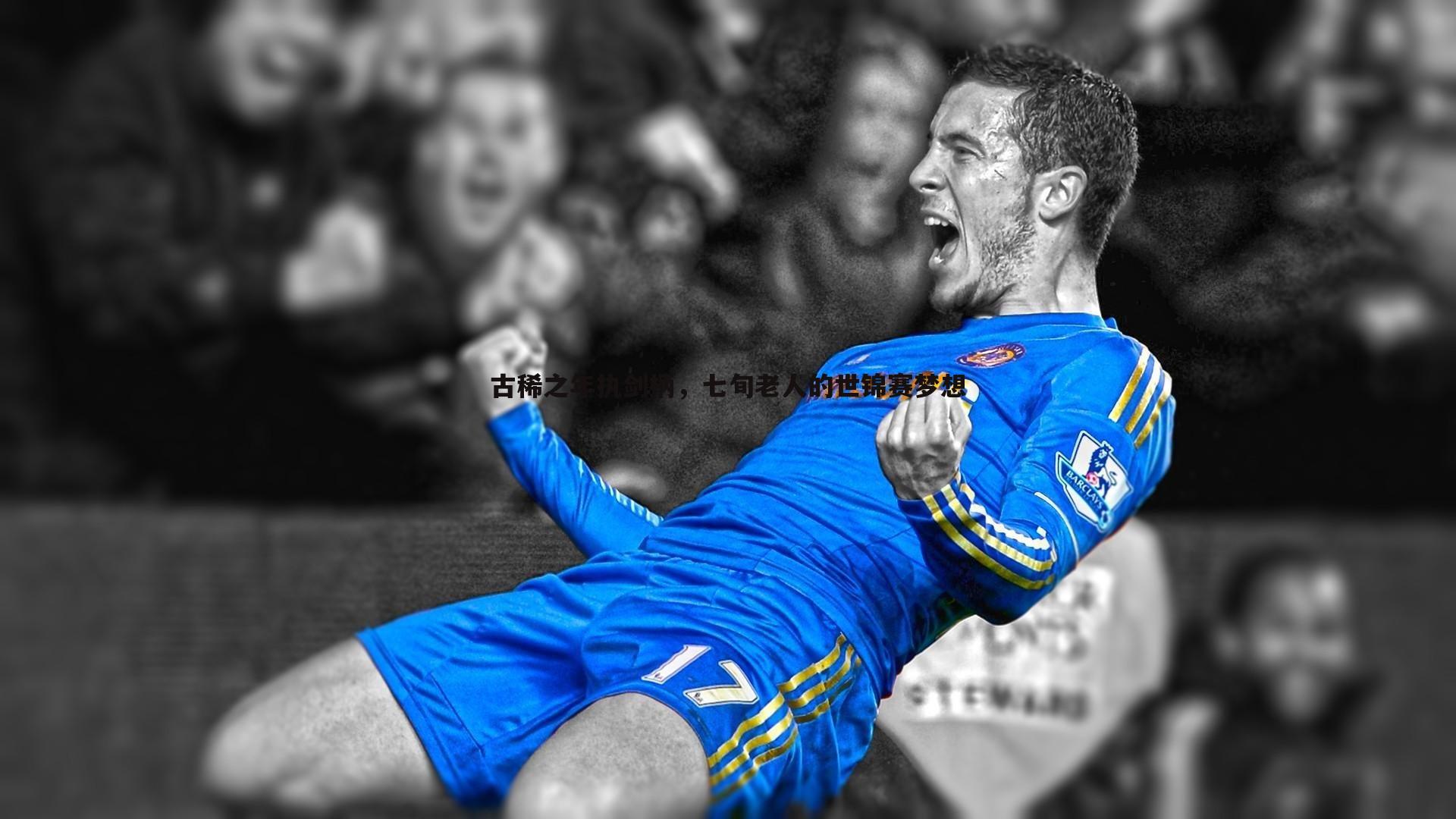 雷速体育-古稀之年执剑柄，七旬老人的世锦赛梦想